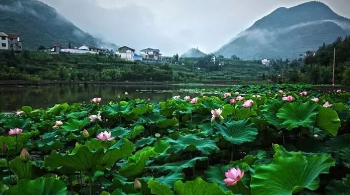 万源市经济总量_万源市井溪乡邓华(3)