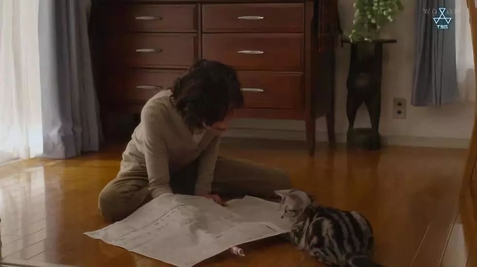 咕咕是只猫电影完整版 750e8a39398c4711a68e1fa1b27eb966.jpeg