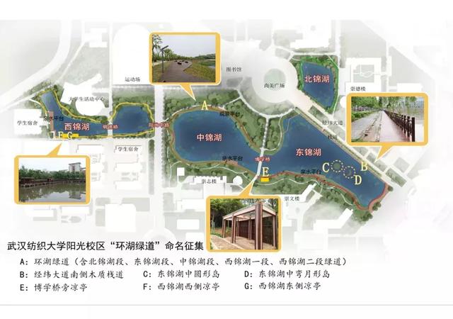 武汉江夏一高校建设的“环湖绿道”竣工在即!启动命名征集!
武汉江夏一高校建设的“环湖绿道”竣工在即!启动命名征集!