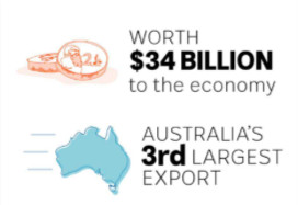 澳洲官媒表示:中国留学生甚至不会说任何英文!
澳洲官媒表示:中国留学生甚至不会说任何英文!