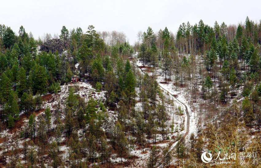 大興安嶺呼中區雨雪「齊上陣」 旅遊 第4張