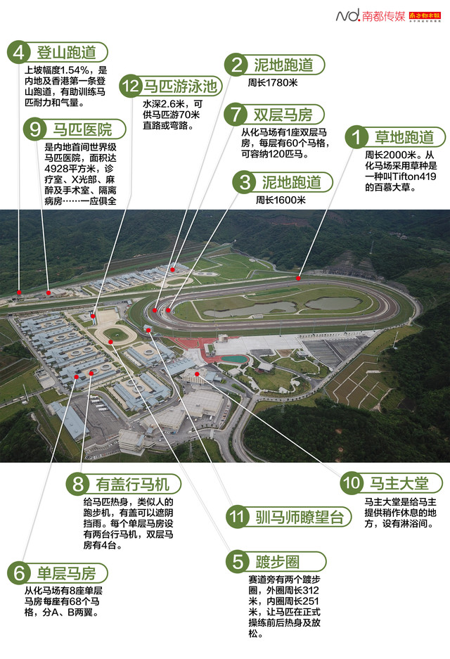 
今日看点：广东省教育厅回应查“高考移民”，50后最舍得旅游


