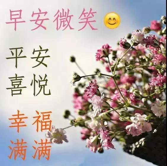 问候语简谱_早上好问候语图片