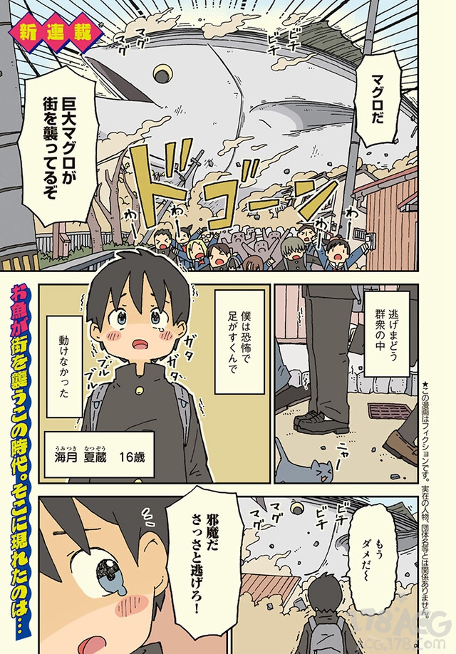 鲨鱼女孩和平凡男高中生相遇,漫画「鲨鱼女孩」开始连载 冠现金百利宫娱乐
