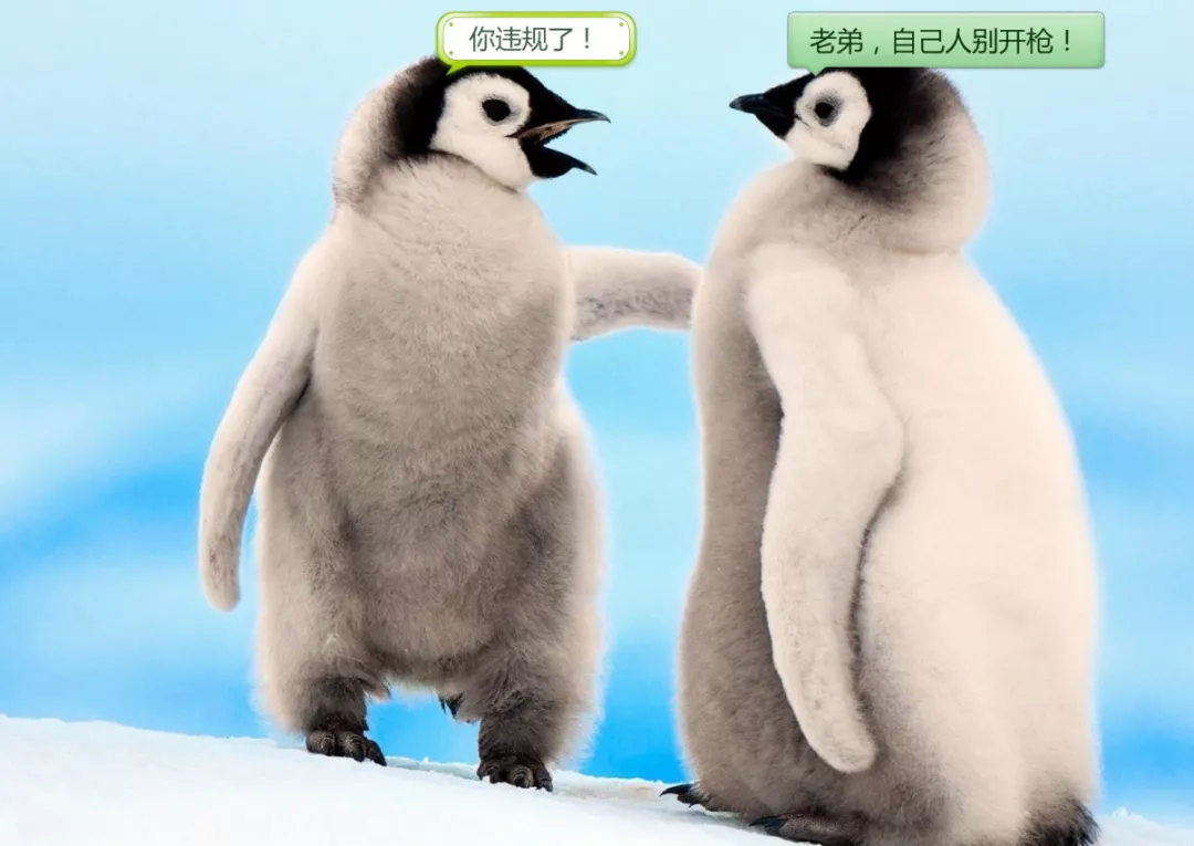 
原创
微信处罚腾讯！张小龙：微信要一碗水端平！


