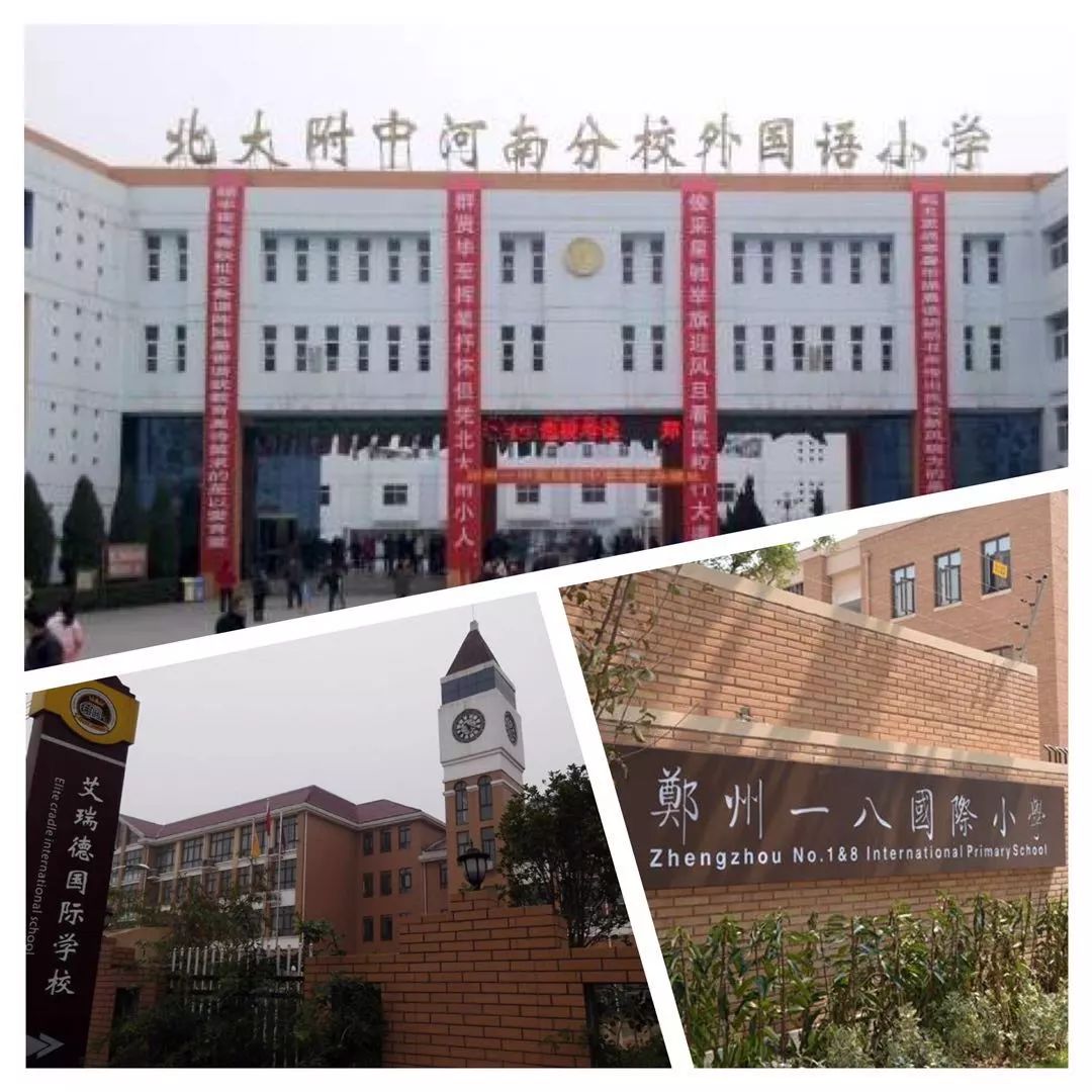 
郑州民办小学“三朵金花”、三所“口碑名校”，你都知道吗？


