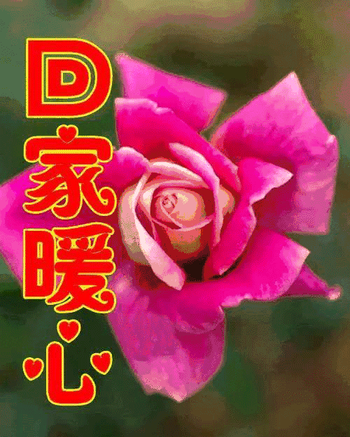 96c4f98195c2498891170c85e88a1165.gif