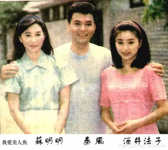 是台湾超级电视台于1995年拍摄的一部电视剧,由酒井法子,邵昕,秦风,苏