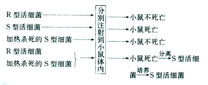 
2019洛阳三统各科试题及答案汇总附高中知识点


