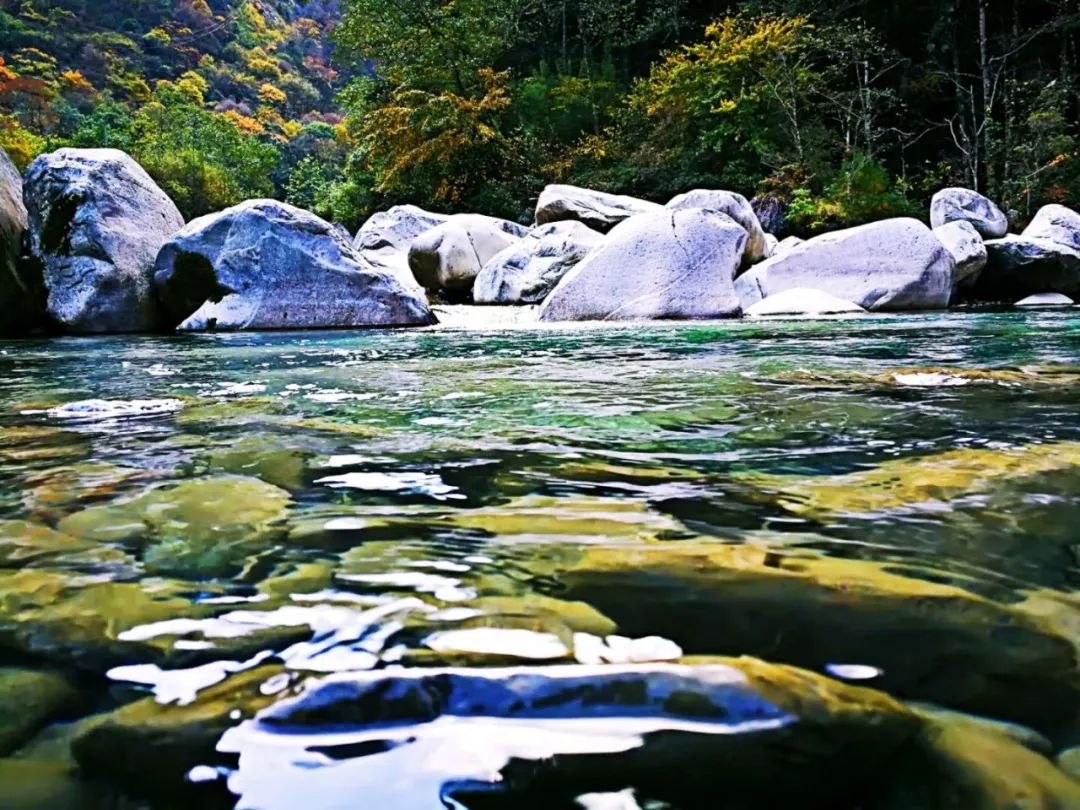 夏日田湾河