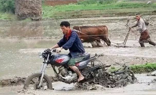 田师傅人口_人口普查