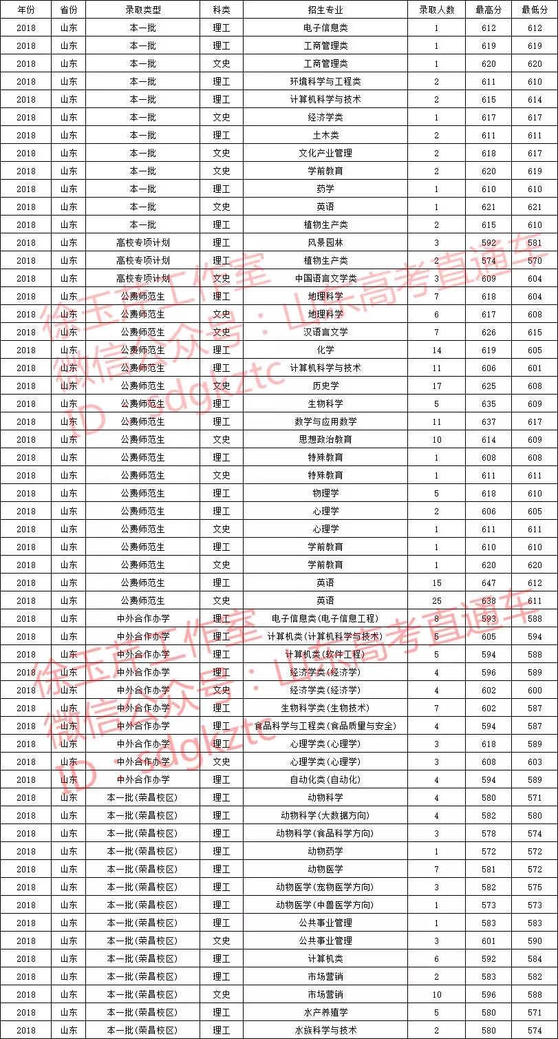 什么是特殊类型招生山东 9fc95876360e47c99087bbcc2b9f5f26.jpeg