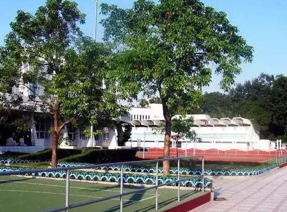 深圳拓展公司排名_深圳大厦排名图片(2)