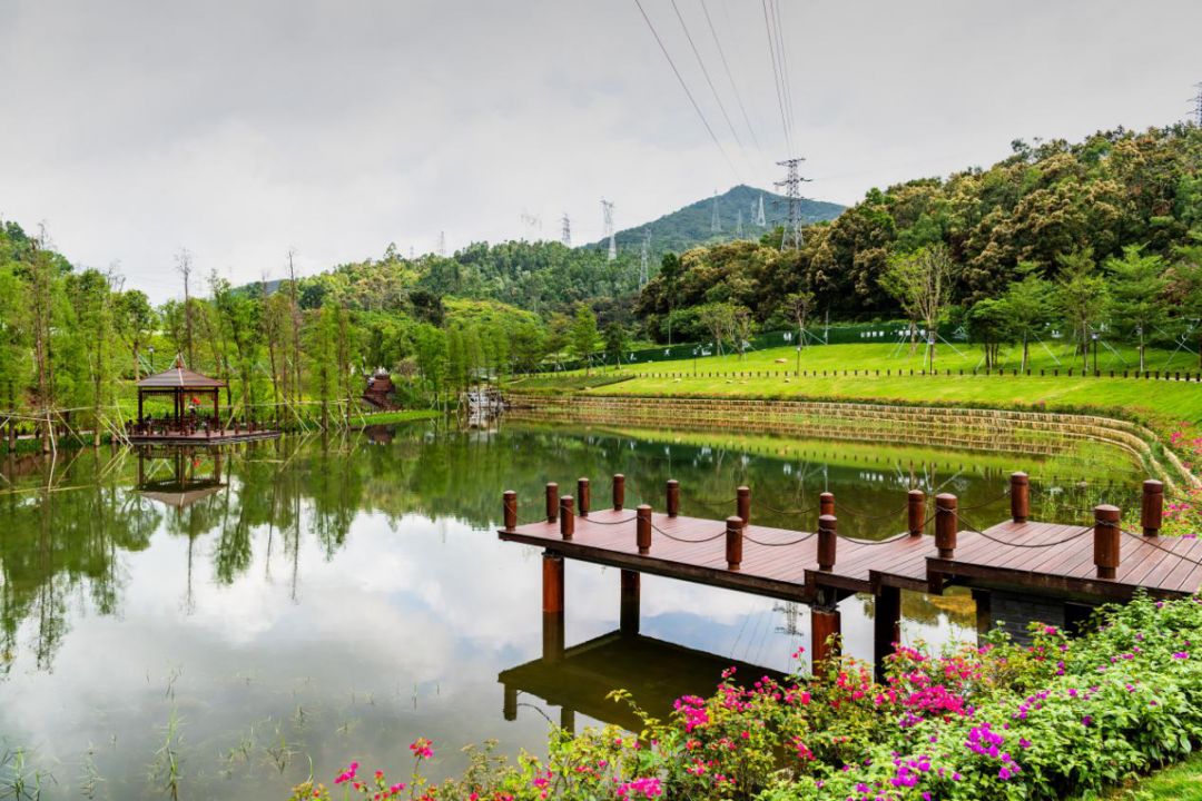 大鹏不止只有海还有禾塘湿地公园4月26日正式落成