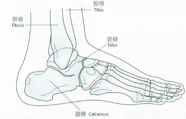 辟谣|脚脖子一受冻就会疼?专家提示:还真有可能不是冻的!