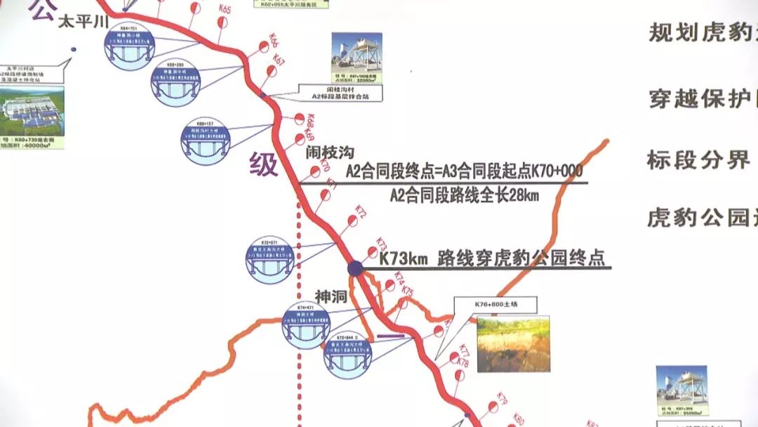 国道丹阿公路吉东段项目副指挥姜在阳说,这四处虎豹廊道在全国范围内