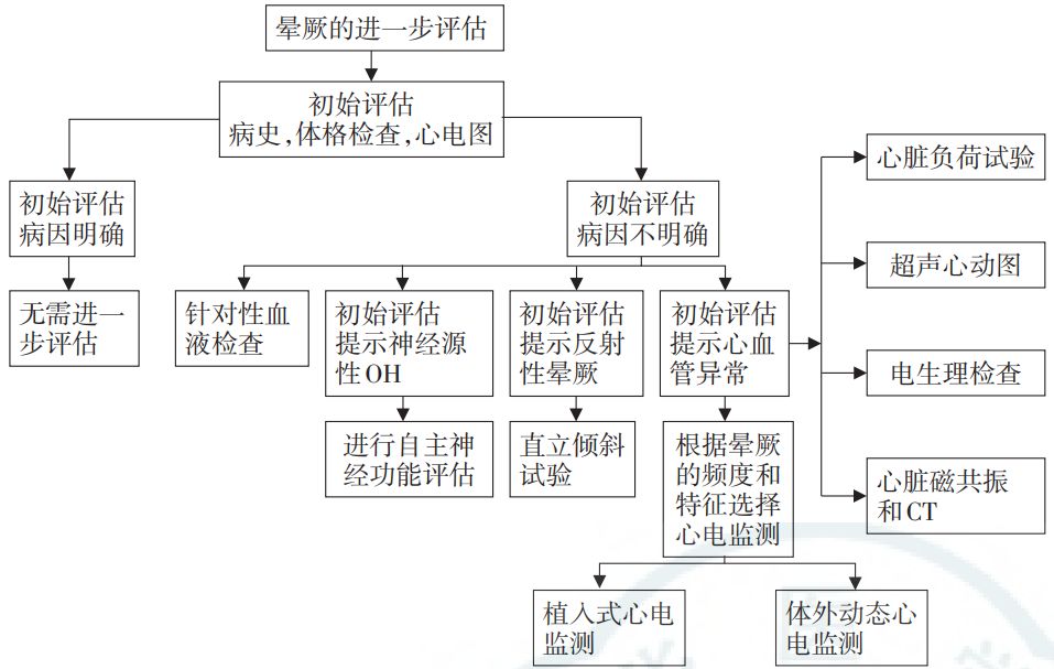 晕厥的进一步评估及诊断流程