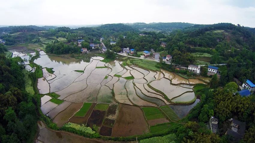 它就是—— 仁寿县禾加镇化石村