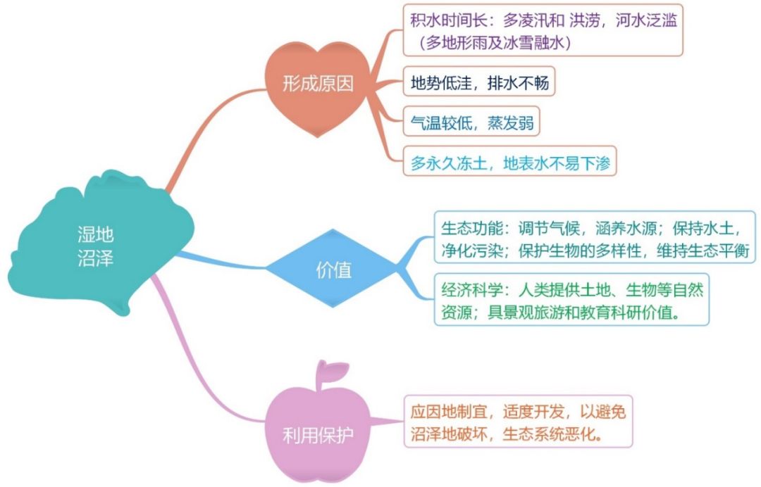 附:高中地理思维导图之区域生态——沼泽,赤潮,咸潮,河流断流1,沼泽的