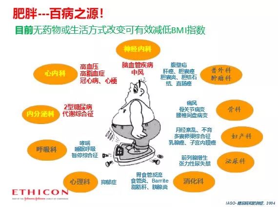 2019中国肥胖人口_中国肥胖人口占比(2)