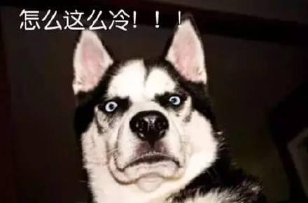 脚冷表情包:冷死宝宝了