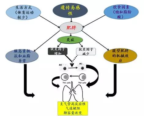 哮喘的原理_既然知道了哮喘的发病机制,我们就一步一步来看看都可以怎么治疗   首先,哮喘是