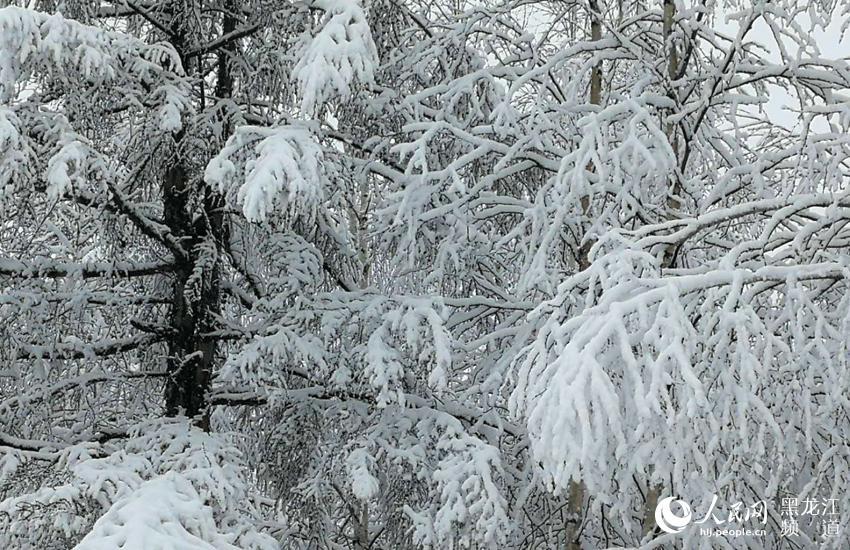 大興安嶺呼中區雨雪「齊上陣」 旅遊 第1張