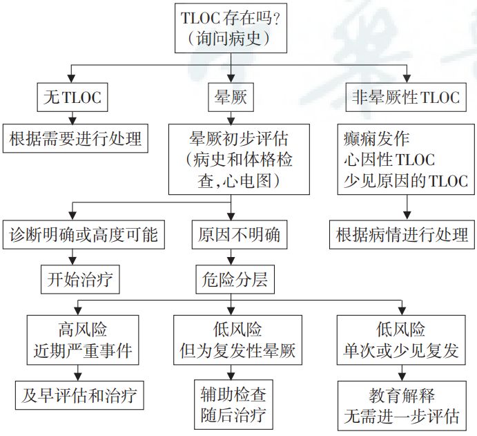 晕厥的初步评估和危险评估流程见图1.