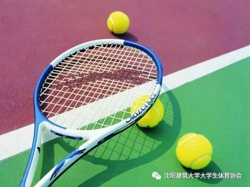 d9d5793382934b91b0973cb1ea62a358.jpeg