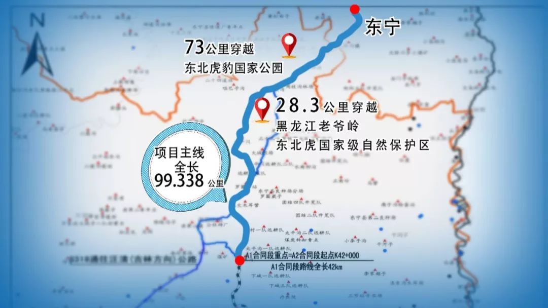 国道丹阿公路吉东段项目副指挥姜在阳说,这四处虎豹廊道在全国范围内