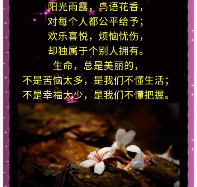 花开的时候你就来曲谱_花开的时候你就来看我(3)