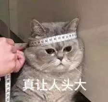 三战雅思写作从4.5到6.5,再坚持一下就好! 明升体育开户