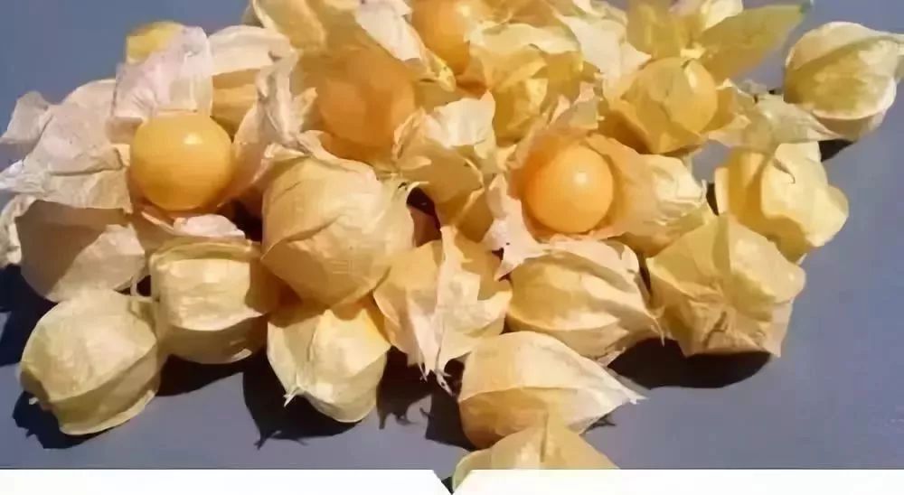 东北叫它花姑娘（orz），果实熟了酸甜的，很好吃，现在也有卖的，只是没