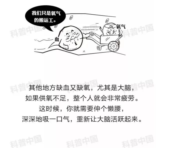 伸什么缩什么的成语_成语故事图片(3)