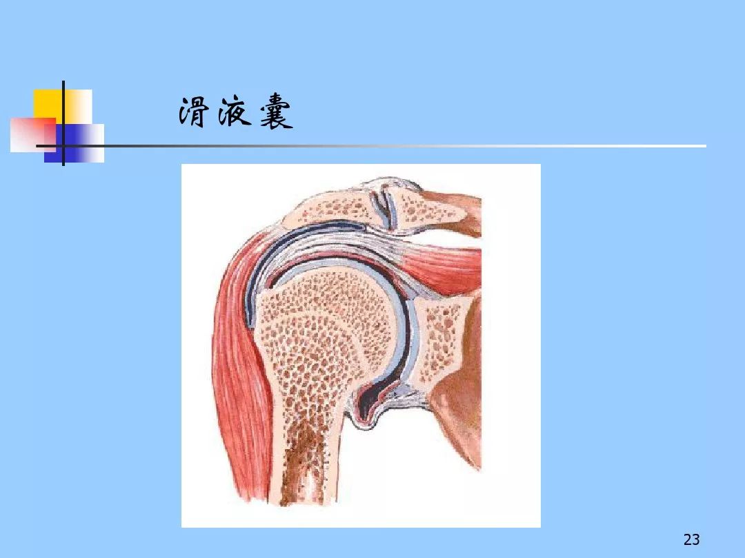 肩关节周围炎诊断与治疗