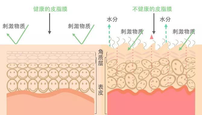 泰诚:皮肤为什么越来越黑了