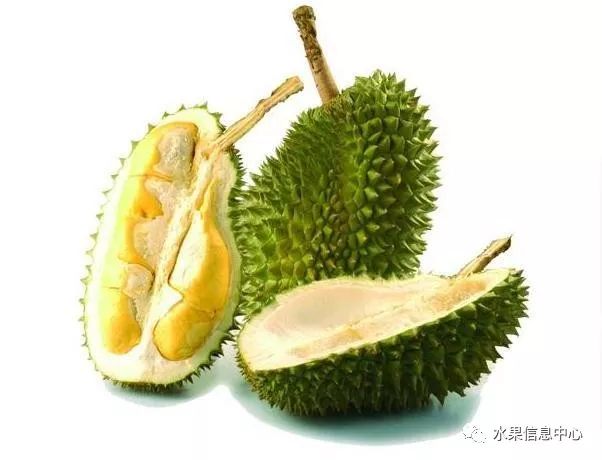 泰国榴莲和马来西亚榴莲有什么区别?看完涨知识了