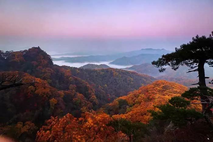 【天女山】抚顺县景区,距离市中心仅65公里