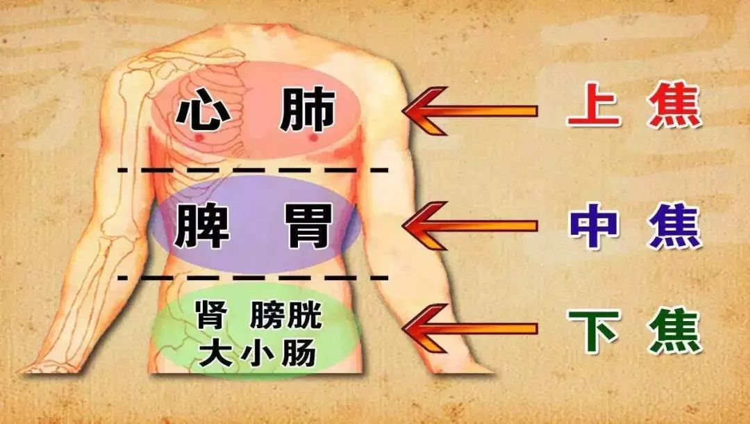 什么叫精神层面 f5a04e2a60d04275925649e86e4010c7.jpeg