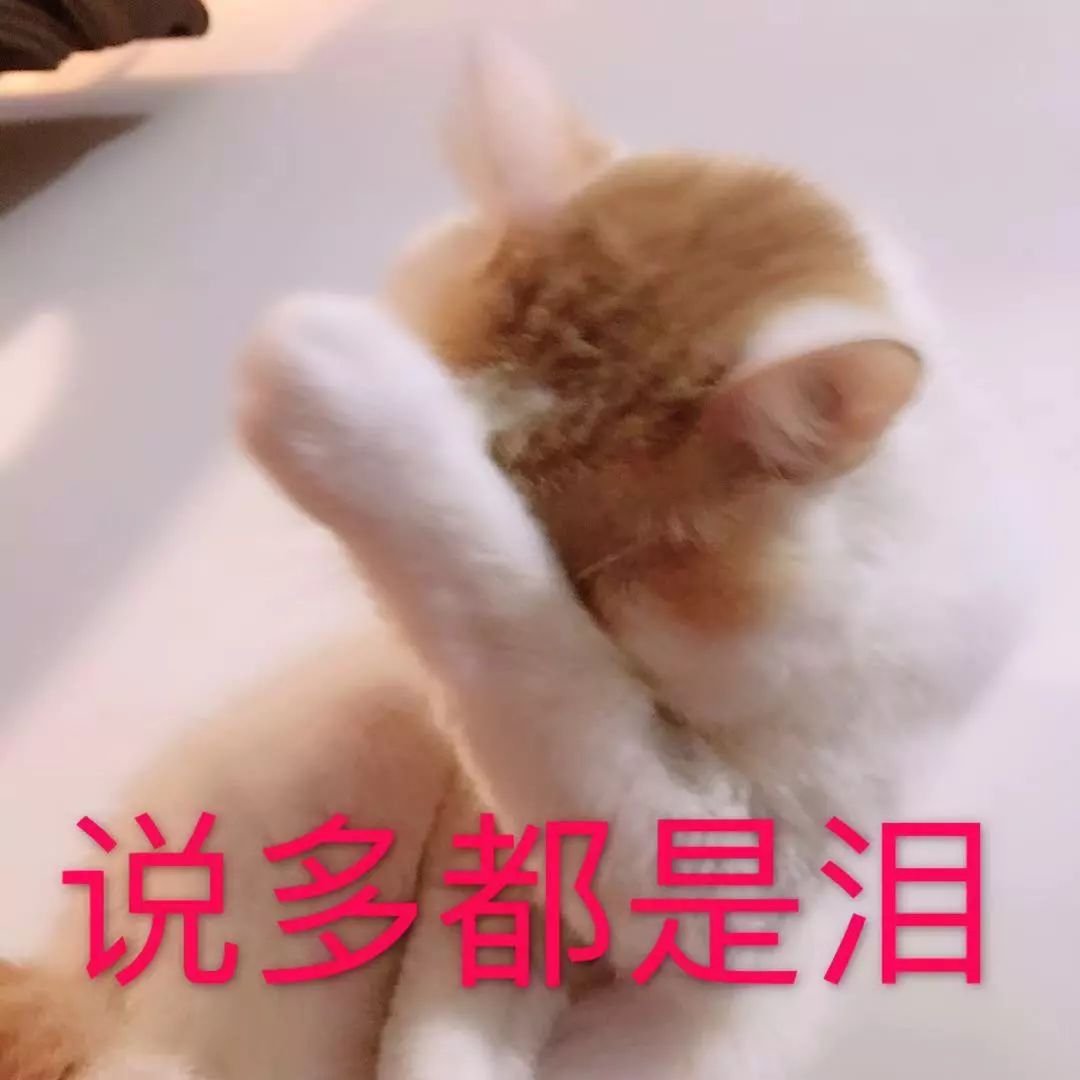 警惕!新“碰瓷”来了,命中率100%!行车记录仪都作假…… maxbet官网
