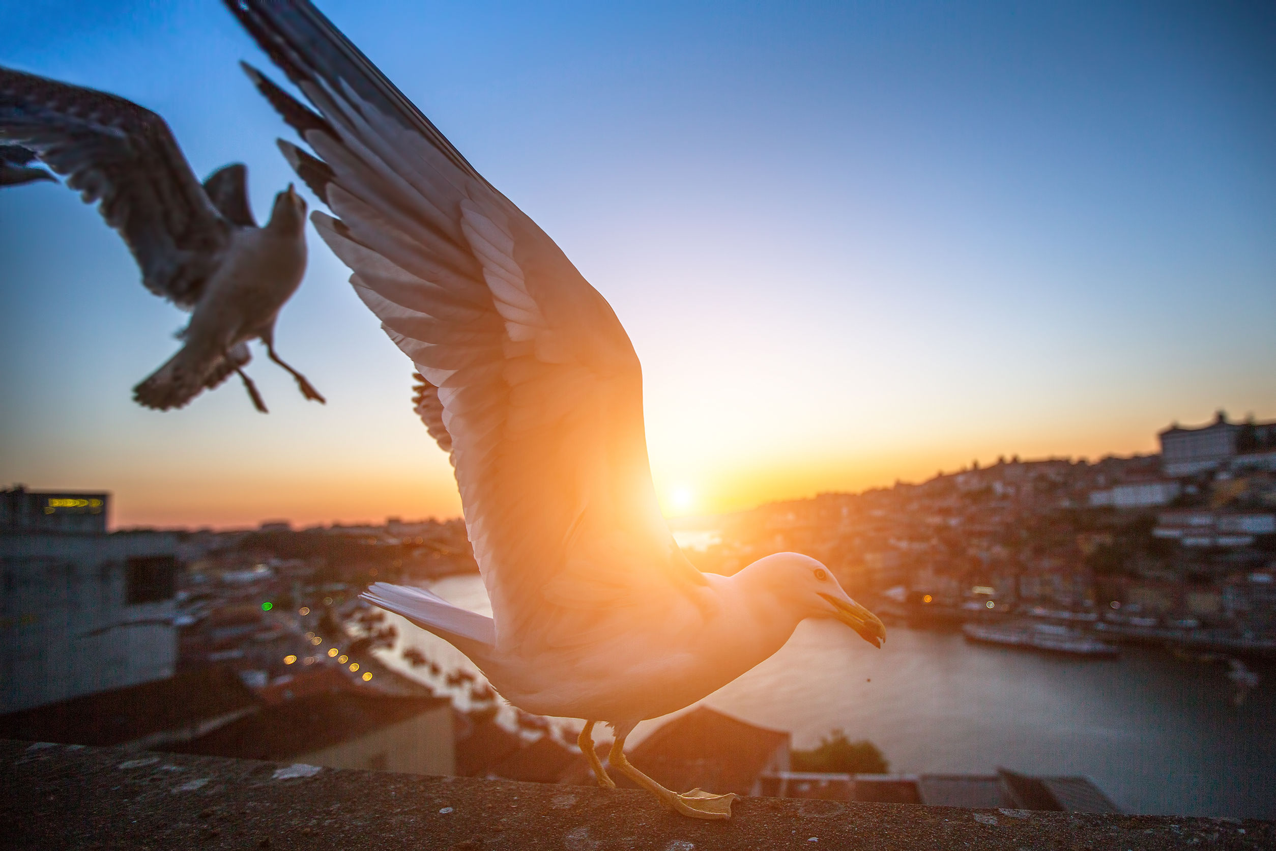 
天道教育名师讲述：阿里巴巴达摩院到底是怎样的存在？


