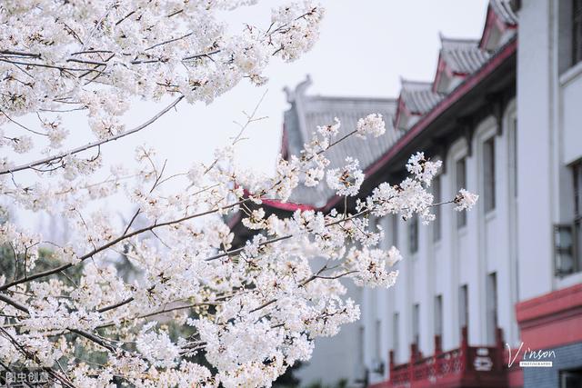谁才是西部第一高校?学子:这是没有疑问的事情
谁才是西部第一高校?学子:这是没有疑问的事情