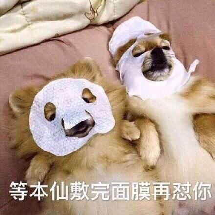 敷面膜的表情包|我们是一群没有感情的杀手