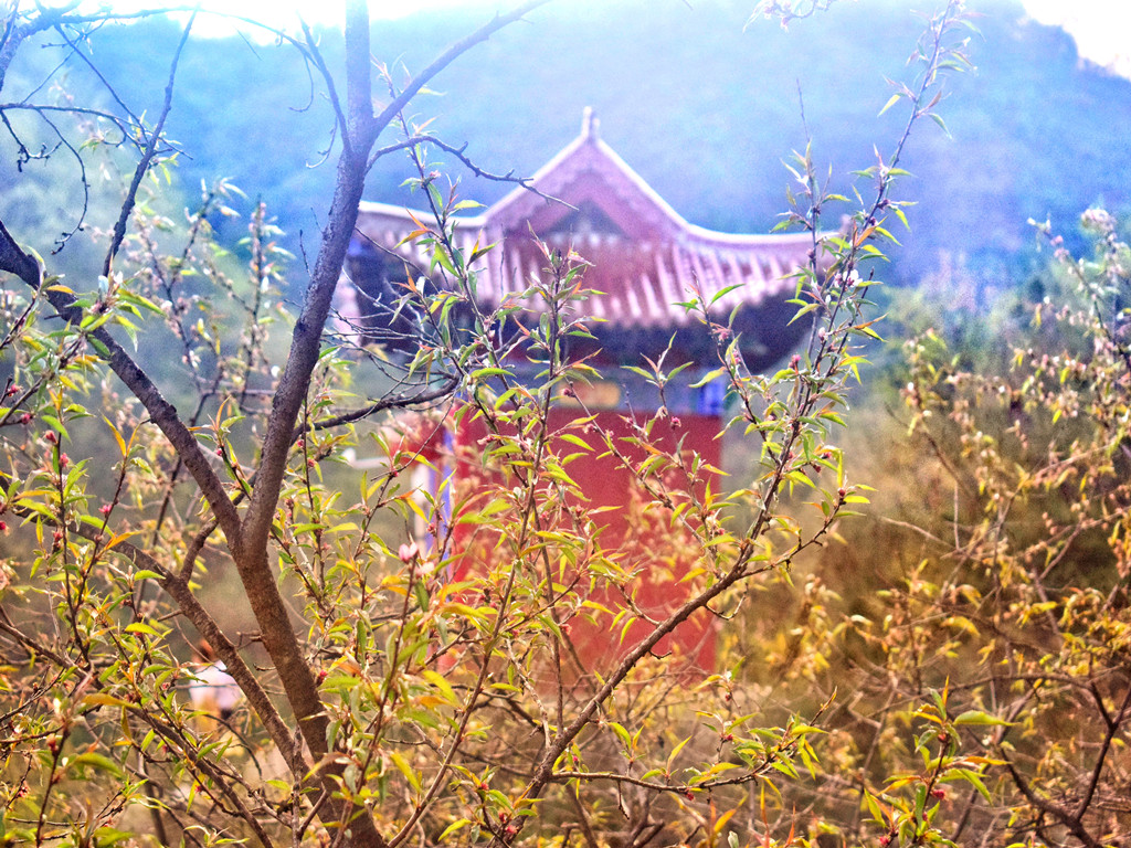 華亭米家溝，你是我在萬里之遙的遠方，自顧不暇的日子里，最掛念的風景 旅遊 第20張