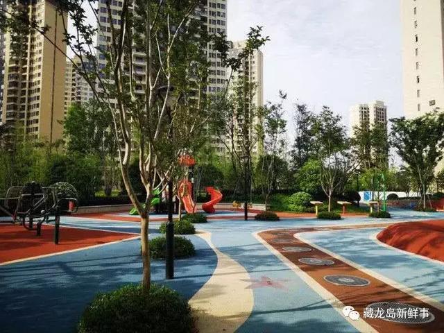 
幼儿园、小学、初中、高中！藏龙岛个个都急缺！官方回应了！


