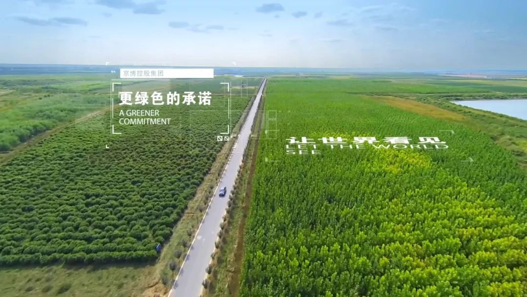 京博集团2019年GDP_2019年各省gdp