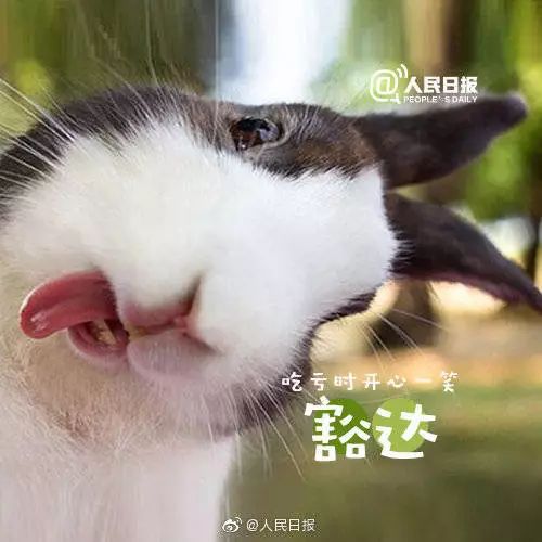 17ac649da7fa4359a5c8a4d9ec11a98f.jpeg
