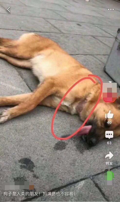 18659b3822044dd798d8869607efbfcf.jpeg