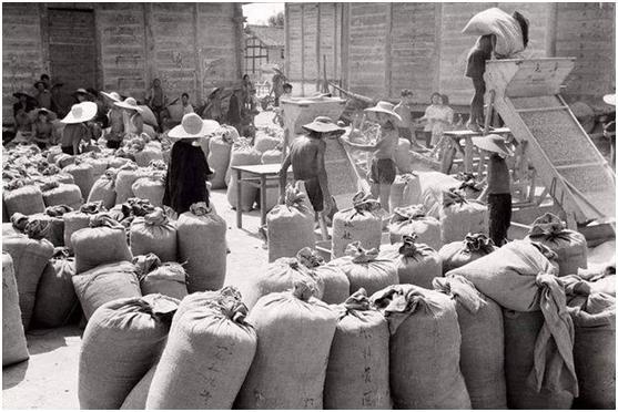 
原创
80年代，农村的3个“铁饭碗”工作，现已无人问津，你见过几个


