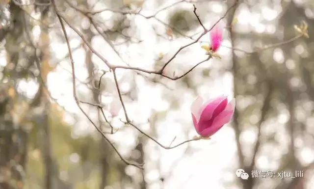 1cf5aab352214141b7ef15d2acbc6c01.jpeg